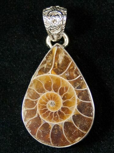 Fossil Ammonite Pendant - Sterling Silver #16768